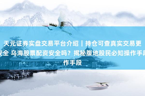 天元证券实盘交易平台介绍｜持仓可查真实交易更安全 乌海股票配资安全吗？揭秘腹地股民必知操作手段