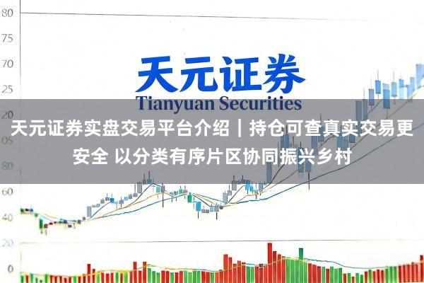 天元证券实盘交易平台介绍｜持仓可查真实交易更安全 以分类有序片区协同振兴乡村